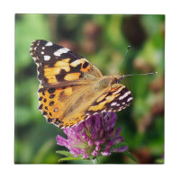 Senhora pintada Borboleta Cerâmico Foto Telhar