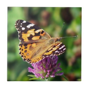 Senhora pintada Borboleta Cerâmico Foto Telhar