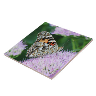 Senhora Pintada Doce