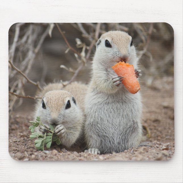 Senhoras que almoçam Mousepad (Frente)