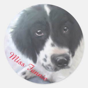 Senhorita Fannie - etiqueta do Spaniel de Springer