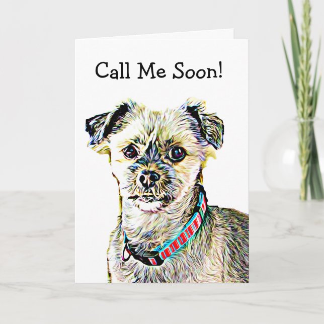 Senhorita Você, Engraçado Cartão De Cachorro Shitz (Frente)