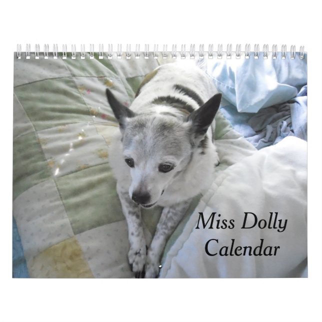 Senhorita Zorra Calendário (Capa)