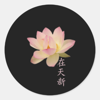 Sensação de adesivos Zen