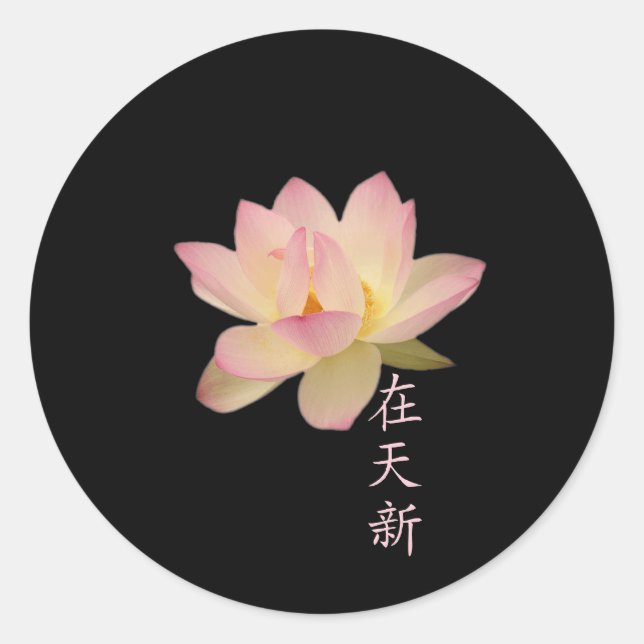 Sensação de adesivos Zen (Frente)