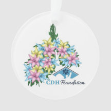 Sensibilização CDH Ornamento acrílico