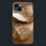 Sensual Shells<br><div class="desc">Renee W. Stramel captures these conch shells in a beautiful sepia tone. This vintage piece of art is a perfect addition to any sea anemone lovers. Get your art print today on your product.</div>