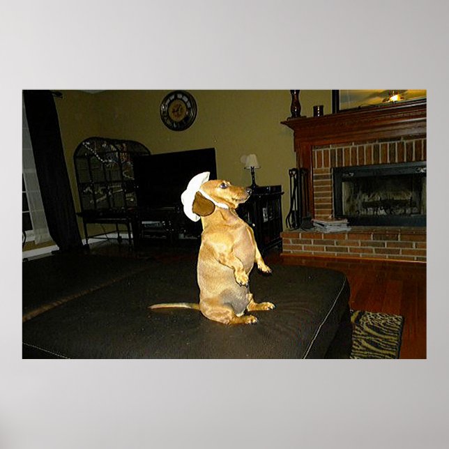 Sentado Bonito Dachshund Frame Poster (Frente)