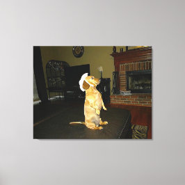 Sentado Bonito ou assistindo à Canvas de Dachshund