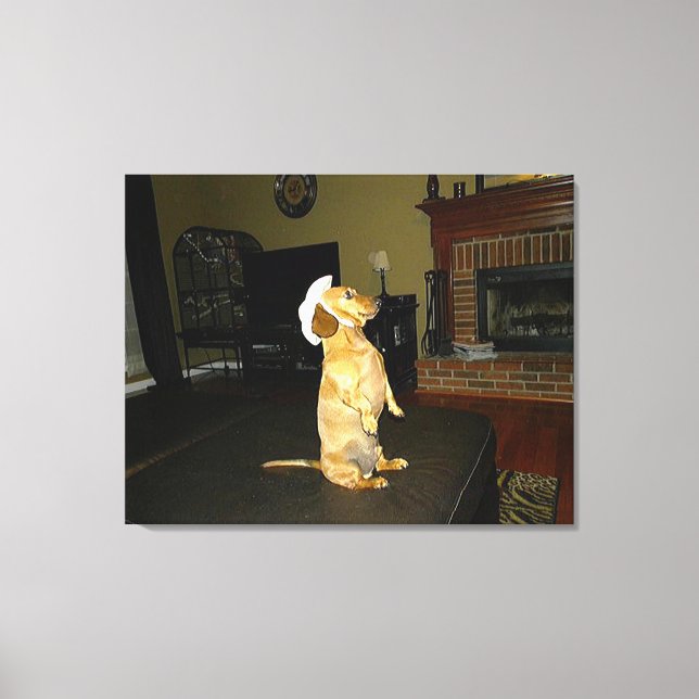 Sentado Bonito ou assistindo à Canvas de Dachshund (Frente)