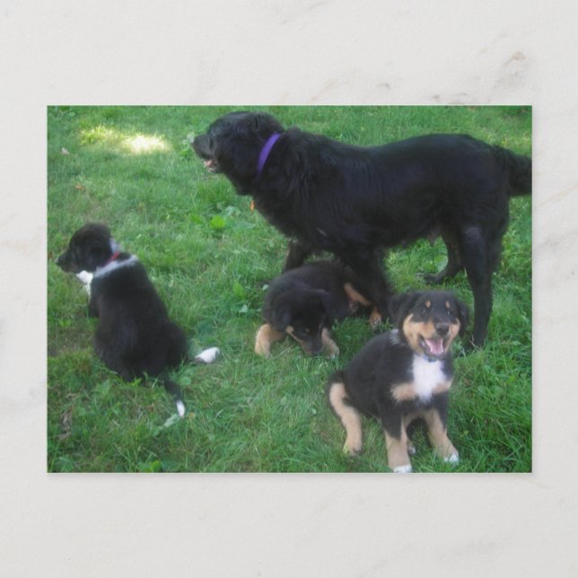 Sentimos falta do seu cartão postal (Frente)