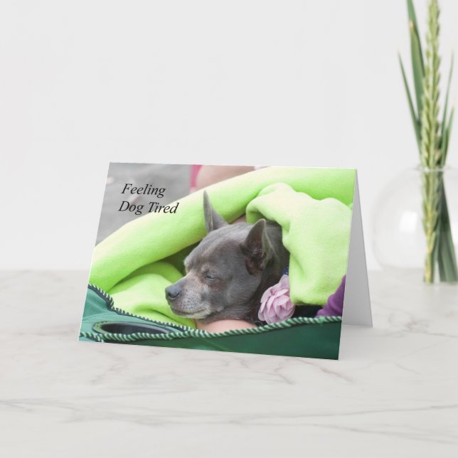 Sentir Cachorro Cansado (Chihuahua) - Cartão de Ar (Frente)