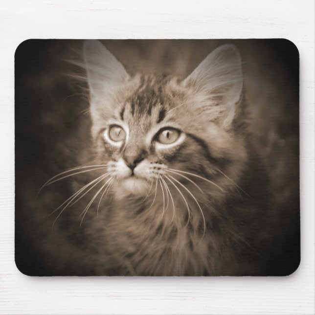 Sepia #1 Mousepad do racum de Maine (Frente)