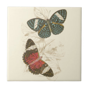 Sepia deixa com borboletas coloridas