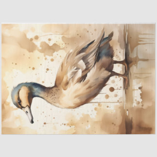 Sepia Duck , Papel tecidular para desacoplamento/A