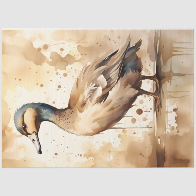 Sepia Duck , Papel tecidular para desacoplamento/A (Frente )