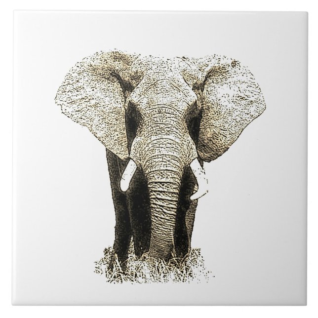 Sepia Elephant (Frente)