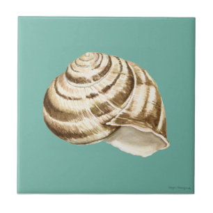 Sepia Striped Shell em Teal