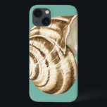 Sepia Striped Shell em Teal<br><div class="desc">Megan Meagher é conhecida por suas simples peças de arte. Esta é uma imagem excelente da arte decorativa capturando a vida marinha com uma casca de sepia de concha listrada. Obtenha este impressão de arte hoje em dia em cor real no seu produto Zazzle.</div>