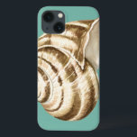 Sepia Striped Shell em Teal<br><div class="desc">Megan Meagher é conhecida por suas simples peças de arte. Esta é uma imagem excelente da arte decorativa capturando a vida marinha com uma casca de sepia de concha listrada. Obtenha este impressão de arte hoje em dia em cor real no seu produto Zazzle.</div>