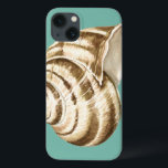 Sepia Striped Shell on Teal<br><div class="desc">Megan Meagher is known for her simple art pieces. This is a great image of decorative art capturing the sea life with a striped conch sepia shell. Get this fine art print today on teal color on your Zazzle product.</div>