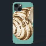 Sepia Striped Shell on Teal<br><div class="desc">Megan Meagher is known for her simple art pieces. This is a great image of decorative art capturing the sea life with a striped conch sepia shell. Get this fine art print today on teal color on your Zazzle product.</div>