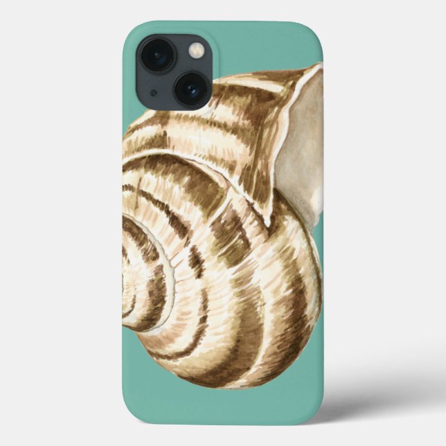 Sepia Striped Shell on Teal (Verso)