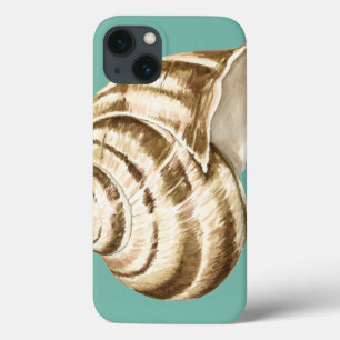 Sepia Striped Shell on Teal
