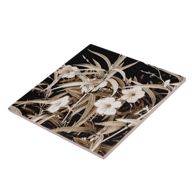 Sepia Tone Petunias Mexicanas (Lateral)