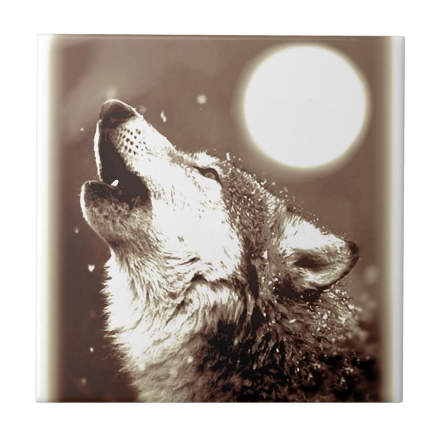 Sepia Wolf & Moon (Frente)