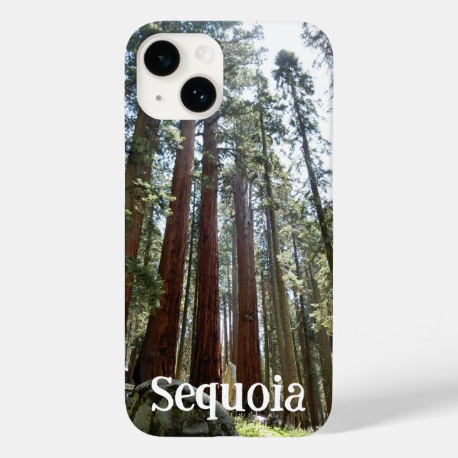 Sequoia National Forest iPhone 14 Case (Verso)
