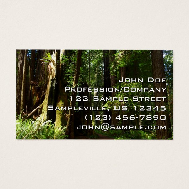 Sequoias e Fernos no Parque Nacional de Redwood (Frente)