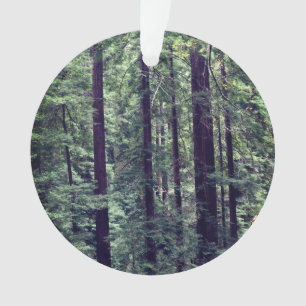 Sequoias Sequoias #2 Ornamento