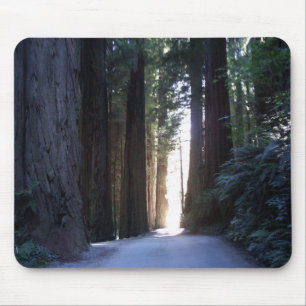 Sequóias vermelhas Mousepad