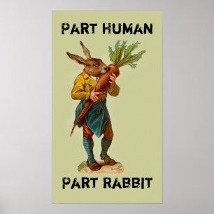 Ser humano da parte, poster do coelho da parte