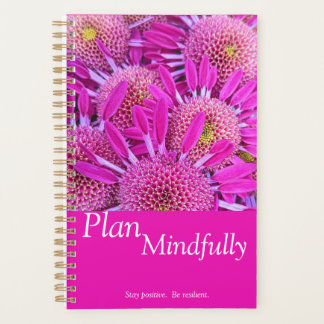 Ser Planejador Mindful