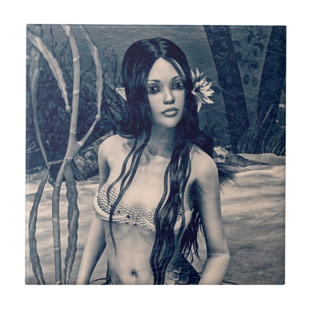 Sereia retrorreflectora (Frente)