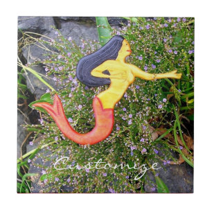 sereia vermelho-atada do sirena