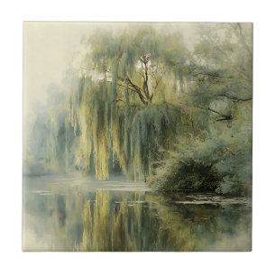 Serena Árvore Salgueiro Reflexo Arte da Natureza (