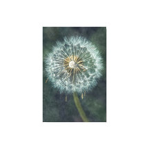 Serene Dandelion Canvas Art - Eterno Nature Insp