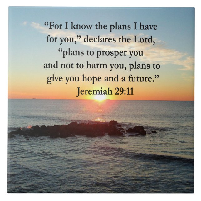 SERENE JEREMIAH 29:11 SUNRISE (Frente)