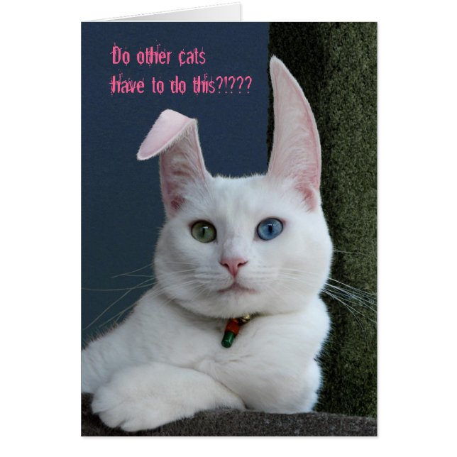 Serenidade como cartão Bunny - personalizada (Frente)