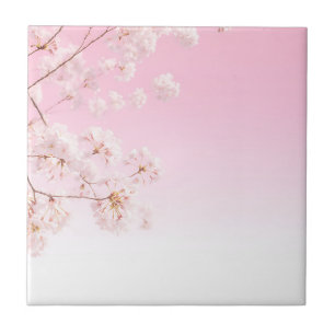 Serenidade de Primavera com Flor de Cerejeira Rosa