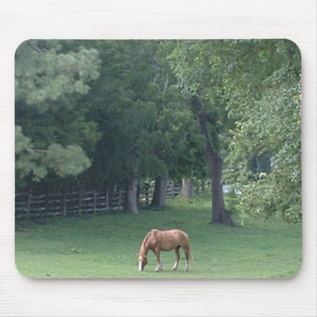 Serenidade legal - mousepad (Frente)