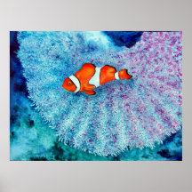 Serenity Fine Art Impressão