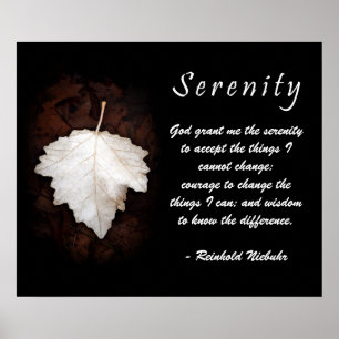 Serenity Inspirational Poster