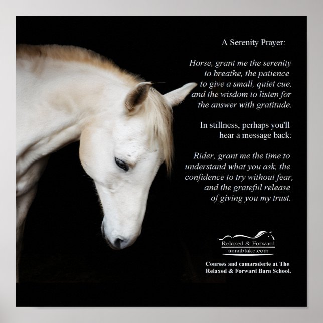 Serenity Prayer Poster para Cavalos e Humanos (Frente)