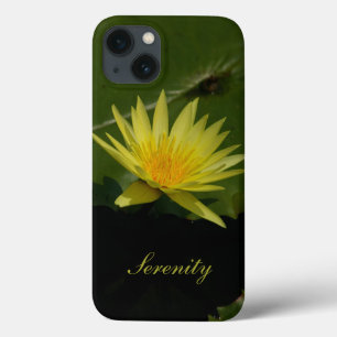 Serenity Waterlily