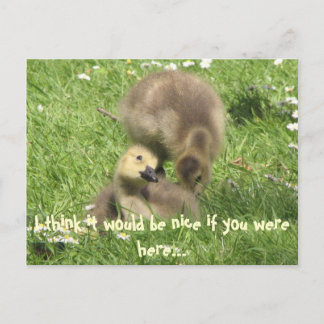 Seria bom se você estivesse aqui... cartão postal