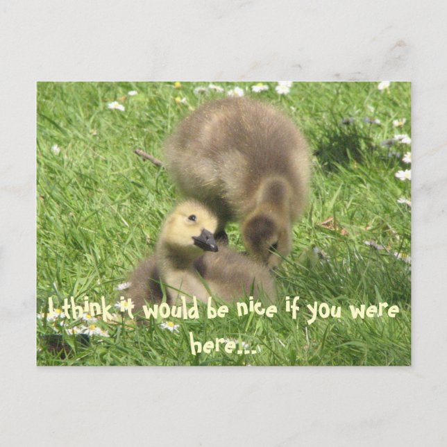 Seria bom se você estivesse aqui... cartão postal (Frente)